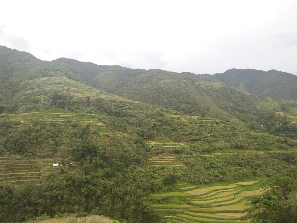 Banaue Sunrise Guest House Εξωτερικό φωτογραφία